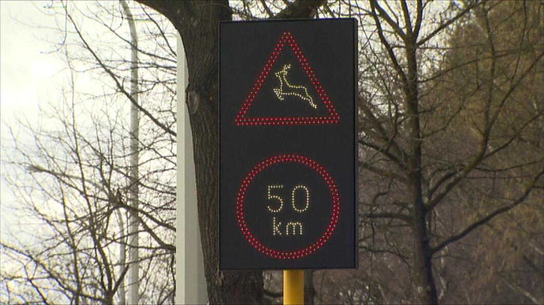 N76 in Oudsbergen krijgt wilddetectiesysteem na vele aanrijdingen met
