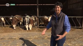 Koningin Mathilde bezoekt Limburgse boerinnen: Annick uit Heers, vierde generatie landbouwer