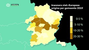 Voor het eerst in dertig jaar minder mensen van niet-Europese afkomst in Limburg dan in Vlaanderen