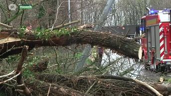 Stormschade op verschillende plaatsen in Limburg