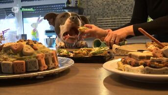 Hoeseltse maakt vegetarisch hondeneten