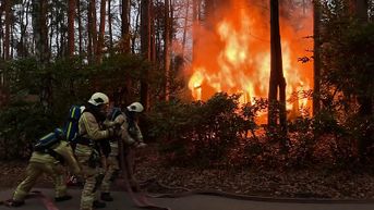 Uitslaande brand verwoest chalet op camping in Lanaken