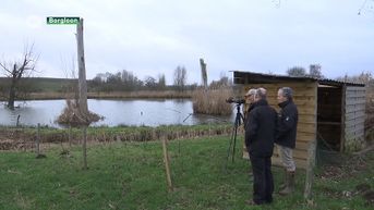 Limburg krijgt tien nieuwe natuurgebieden