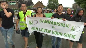 Groen licht voor legalisering van productie medicinale cannabis