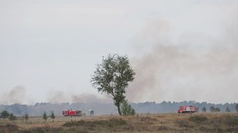 Grote brand op militair schietterrein in Helchteren