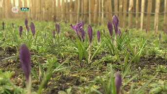 Belevingstuin Overpelt