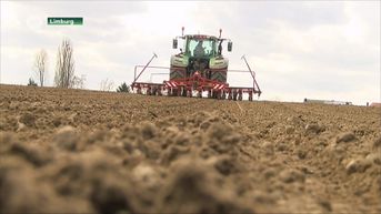 Daling aantal Limburgse landbouwbedrijven gestopt