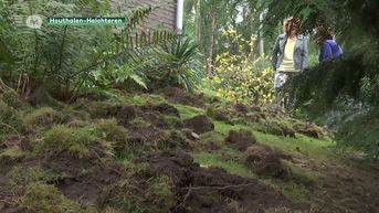 Omgewoelde tuinen door evers dagelijkse kost in Houthalen