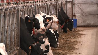 Alkense boer zet koeienmest om in elektriciteit
