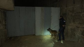 Politiehonden worden getraind in de mergelgrotten van Kanne