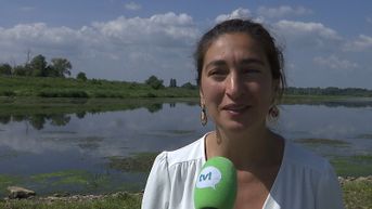 Zuhal Demir over benoeming van haar rechterhand in Genk tot gouverneur