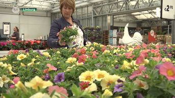 Bloemist blijft dicht op moederdag, bloemen wel te koop in supermarkten en tankstations