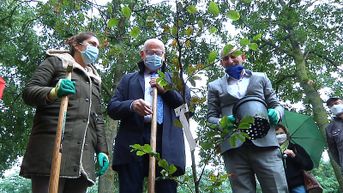 Natuurpunt Limburg en Alken-Maes delen 3000 klimaatbomen uit