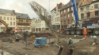 Eerste boom geplant op Hasseltse Grote Markt