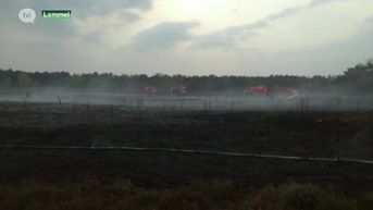 Brandweer bestrijdt grote heidebrand in Lommel