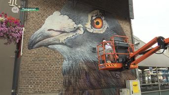 Gerenomeerde artieste schildert duif op gevel van oudste café van Tongeren