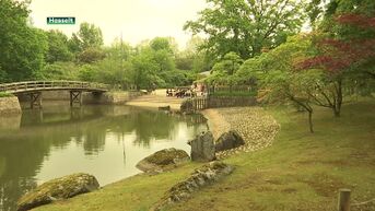 Nooit eerder zoveel bezoekers voor Japanse Tuin in Hasselt