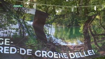 Actiefront viert feest voor het behoud van Groene Delle