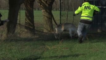 TVL Nieuws, 6 februari 2020