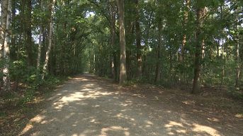 UNIZO Limburg:
