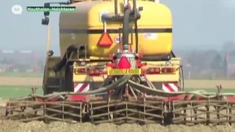 Nog strengere bemestingsnormen voor Noord-Limburgse boeren