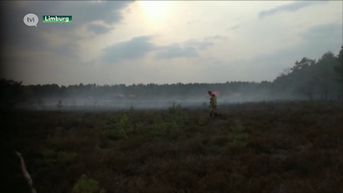 Extreme droogte kleurt brandfase rood in Limburgse natuur