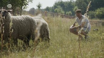 Reportage: Milieubewust groenonderhoud