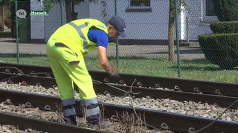 Treinverkeer onderbroken tussen Hasselt en Tongeren