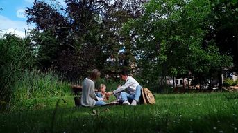 Zomertip: Picknicken in Diest