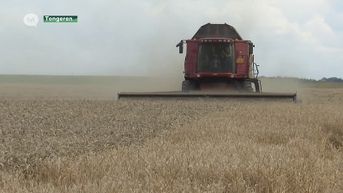 Primeur in Tongeren: speciale oogstmachine om bedreigde diersoort te redden