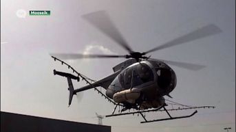Burgemeester Maaseik wil leger en helikopters inzetten om processierups te bestrijden