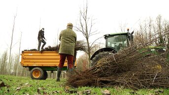 Limburgse jagers verdelen 24.000 hagen en bomen voor een betere biodiversiteit