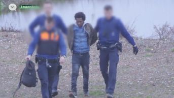 Politie pakt transmigranten op die uit vrachtwagen vluchten langs E313 in Tessenderlo