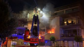 Twee lichtgewonden en zware schade na appartementsbrand in Zonhoven