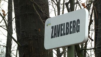 Bedrijfsfeest stilgelegd in Tessenderlo, politie hanteert nultolerantie op kerstavond en kerstdag