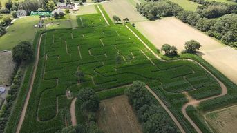 Fietsen door de maïs in Beringen genomineerd door Toerisme Limburg