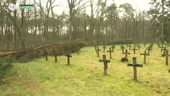 Storm richt ravage aan op kerkhof voor psychiatrische patiënten in Rekem