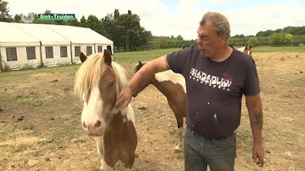 Truienaar Marcel mag vanaf 2023 niet meer op de kermis staan met zijn pony's