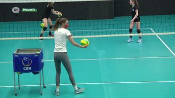 Volleybalacademie Mosa-RT wil jonge talenten klaarstomen voor Maaseik & Ladiesvolley Limburg