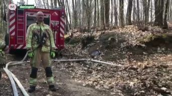 Scouts koken in openlucht en veroorzaken bosbrand in Paal