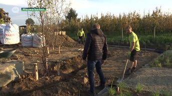 Limburgse tuinaannemers vallen in de prijzen