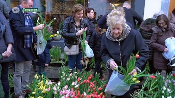 Tongerse bloemist deelt duizenden bloemen gratis uit