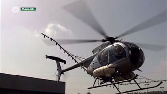 Burgemeester Maaseik wil leger en helikopters inzetten in strijd tegen processierupsen