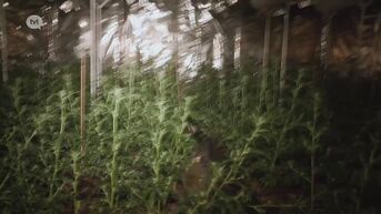 TVL Nieuws, 27 april 2021