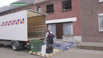 Weedplantage ontmanteld in Maasmechelen