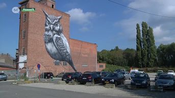 Projectontwikkelaar belooft Hasselts grafitti-kunstwerk te integreren in nieuw project