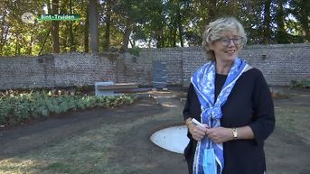 Reeks Sint-Truiden: TV Limburg zendt herdenkingsplechtigheid voor coronaslachtoffers live uit
