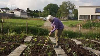 Fan van Limburg: 6 juni 2019