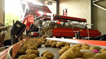 WOA: Rooien van aardappelen