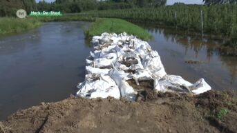 Gevaar voor overstromingen nog niet geweken in Herk-de-Stad